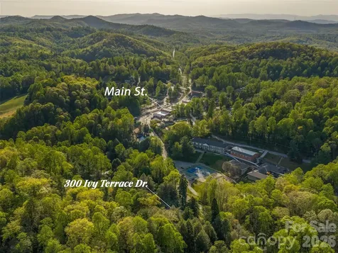 300 Ivy Terrace Drive Saluda NC 28773