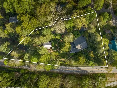 300 Ivy Terrace Drive Saluda NC 28773