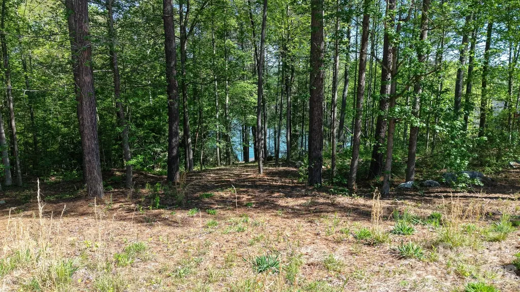 105 Beacon Ridge Drive Connelly Springs NC 28612