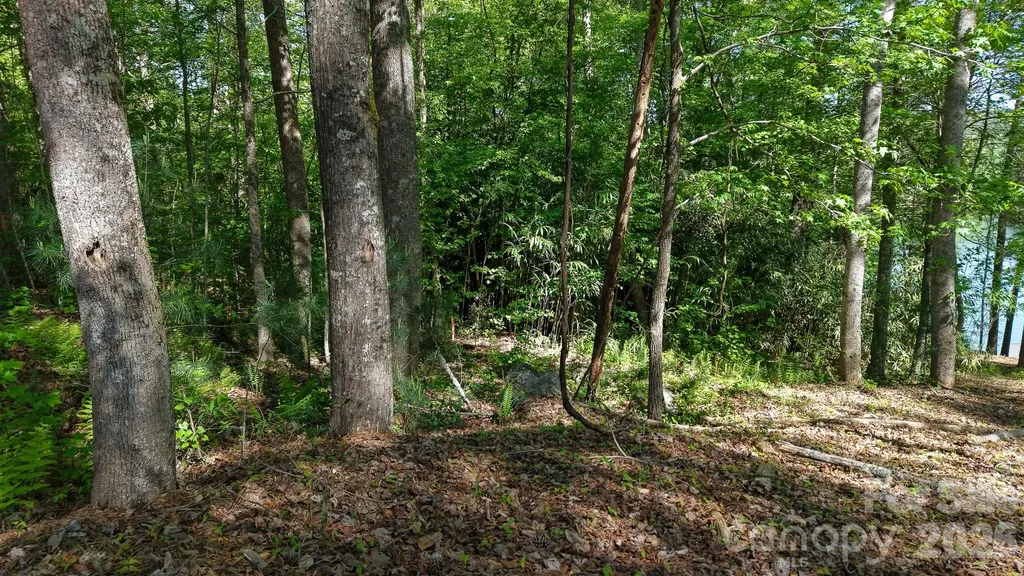 105 Beacon Ridge Drive Connelly Springs NC 28612