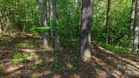 105 Beacon Ridge Drive Connelly Springs NC 28612