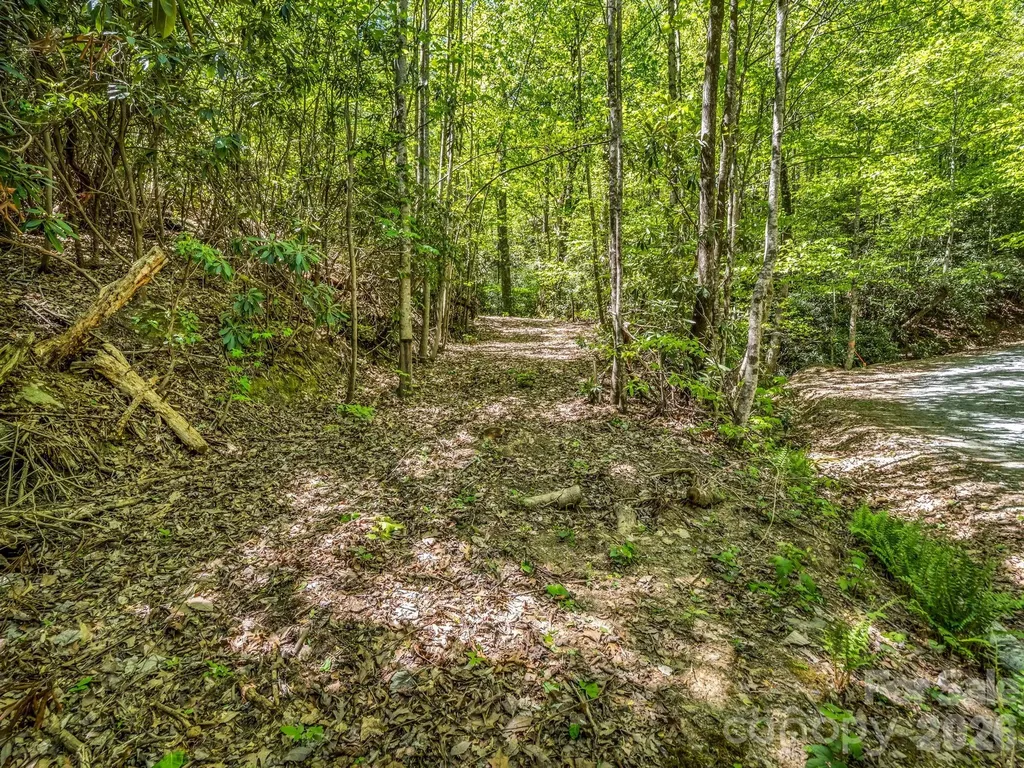 00 Lakeview Drive Tryon NC 28782