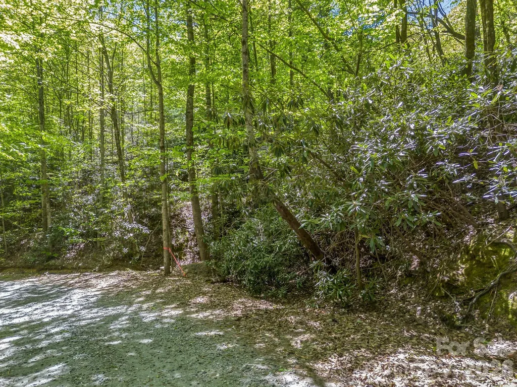 00 Lakeview Drive Tryon NC 28782