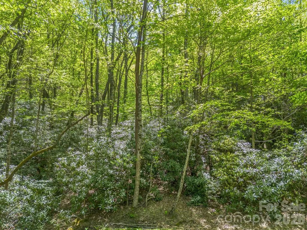 00 Lakeview Drive Tryon NC 28782
