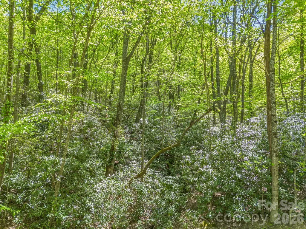 00 Lakeview Drive Tryon NC 28782