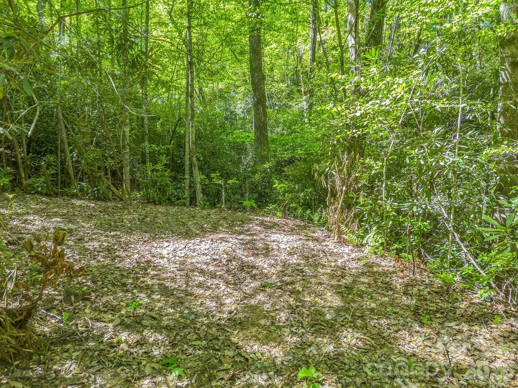 00 Lakeview Drive Tryon NC 28782