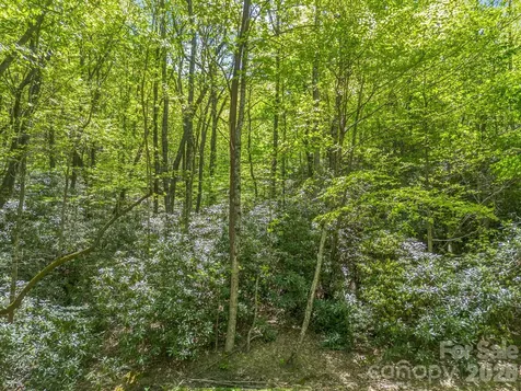 00 Lakeview Drive Tryon NC 28782