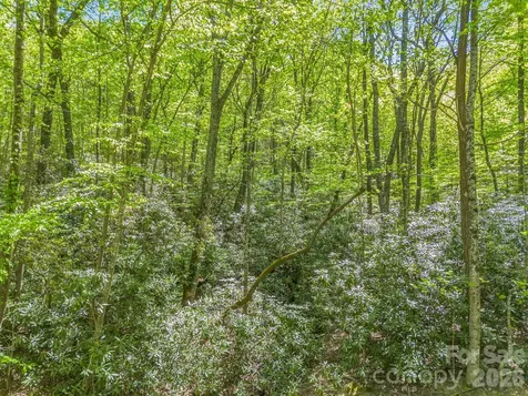 00 Lakeview Drive Tryon NC 28782