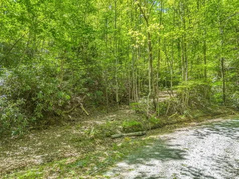 00 Lakeview Drive Tryon NC 28782