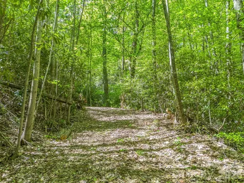 00 Lakeview Drive Tryon NC 28782