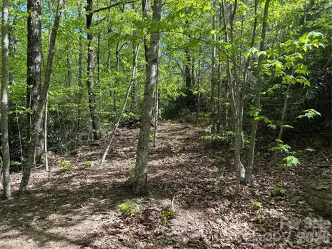 00 Lakeview Drive Tryon NC 28782