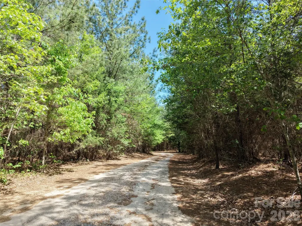 Tbd Stanback Ferry Ice Plant Road Wadesboro NC 28170