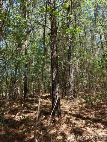 Tbd Stanback Ferry Ice Plant Road Wadesboro NC 28170