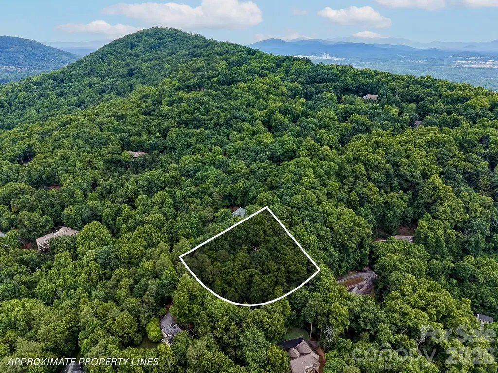 50 Cedar Drive Mills River NC 28759