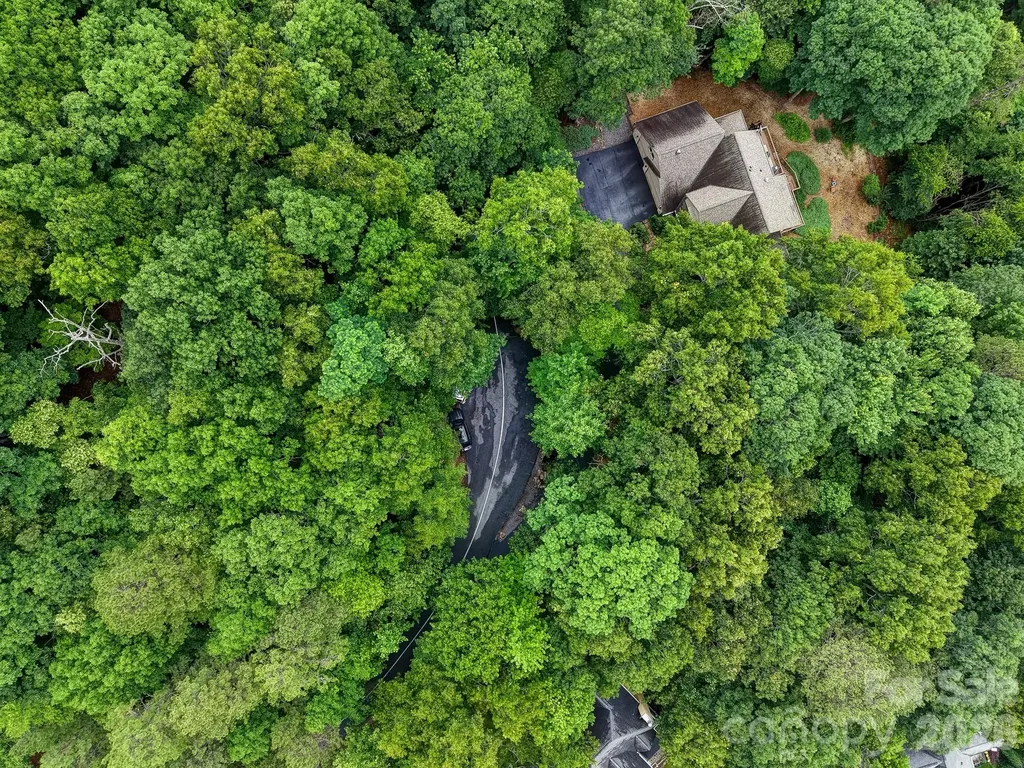 50 Cedar Drive Mills River NC 28759