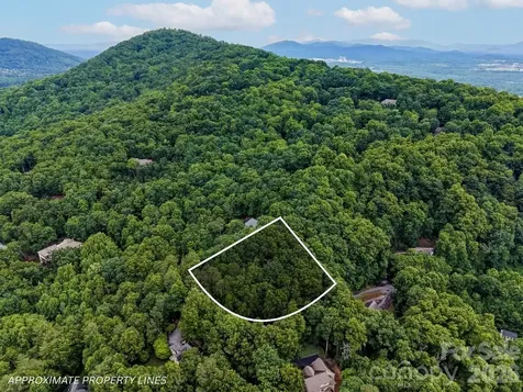 50 Cedar Drive Mills River NC 28759