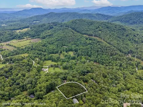 50 Cedar Drive Mills River NC 28759
