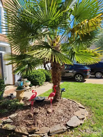 17205 Asti Court Cornelius NC 28031