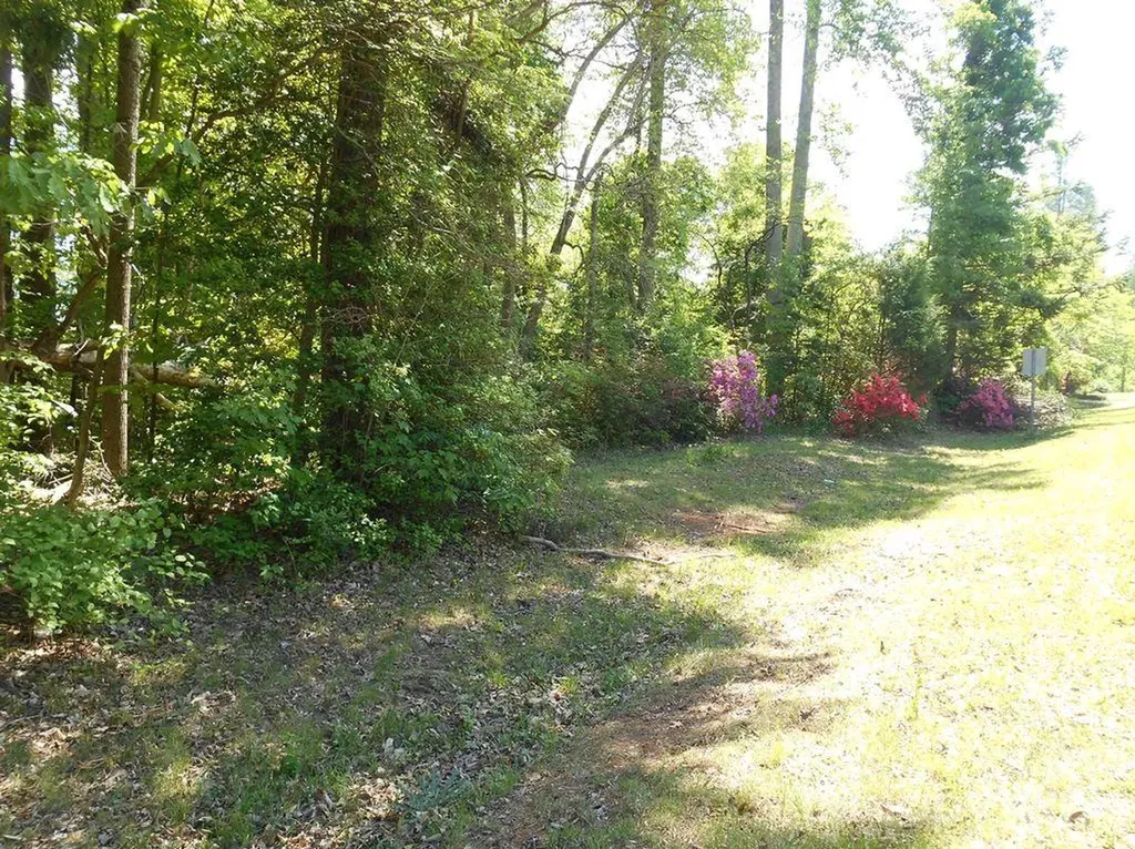 00 Tin Mine Road Lincolnton NC 28092