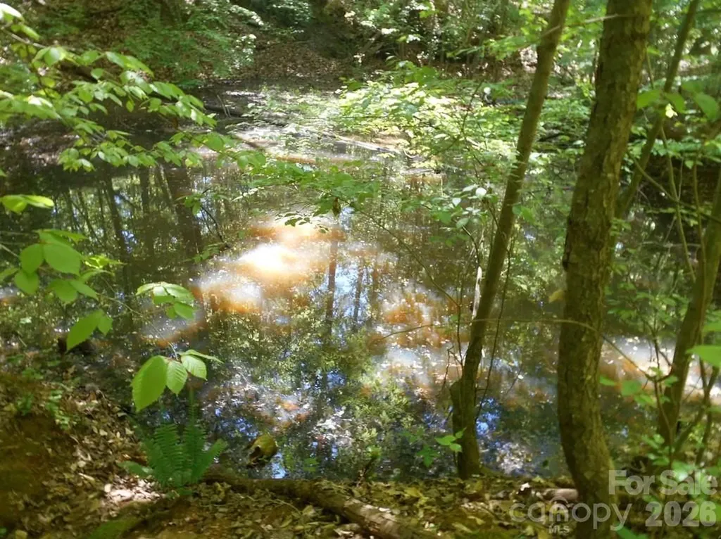 00 Tin Mine Road Lincolnton NC 28092