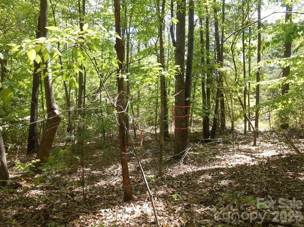 00 Tin Mine Road Lincolnton NC 28092