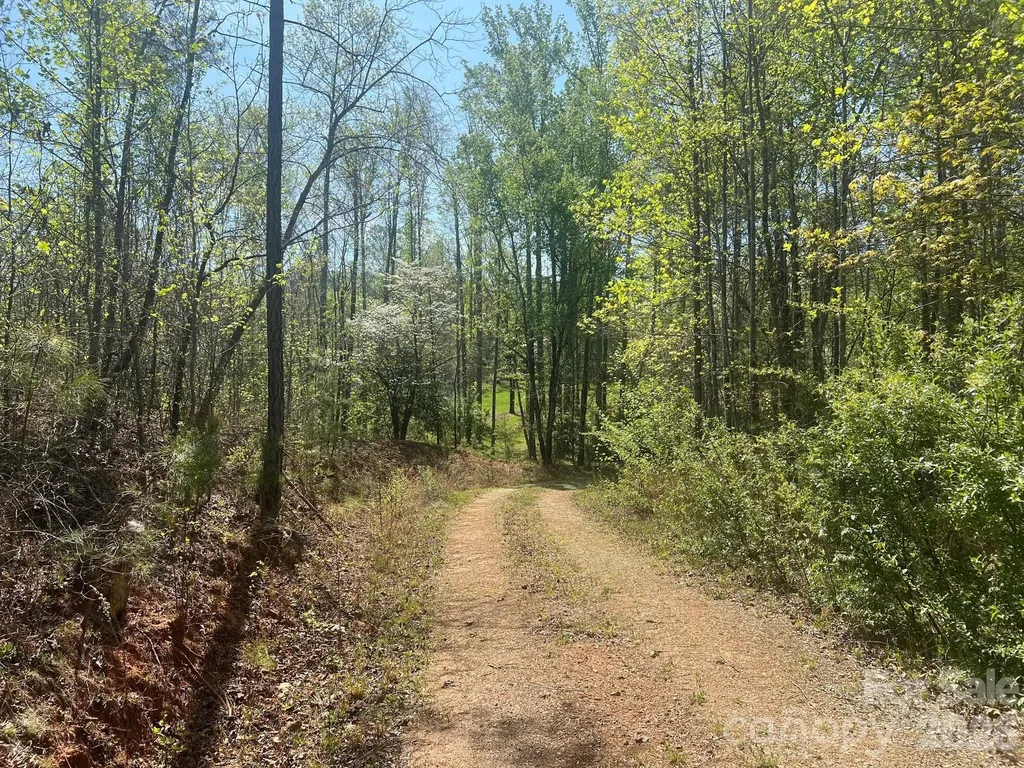 6374 Peniel Road Tryon NC 28782