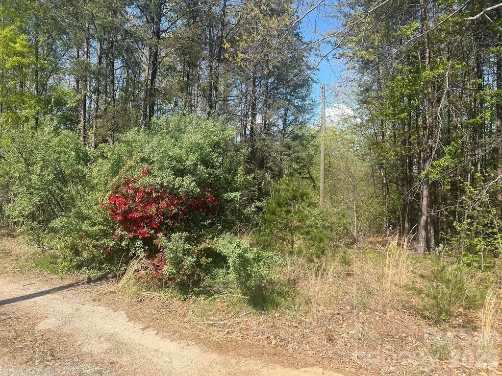 6374 Peniel Road Tryon NC 28782