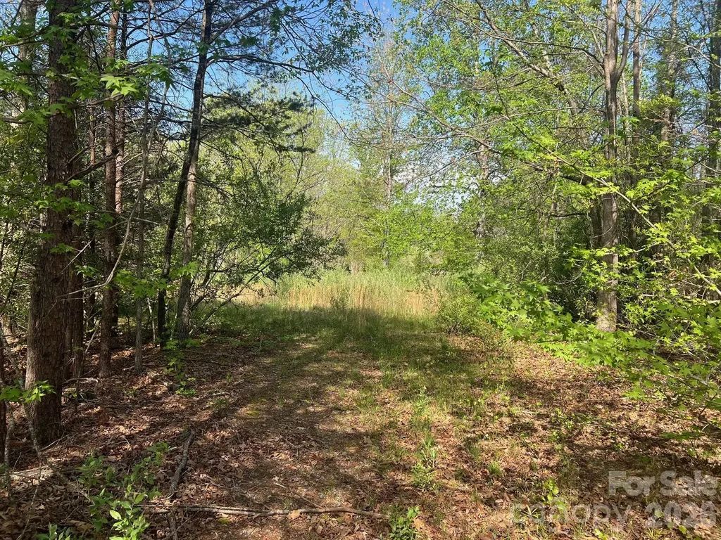 6374 Peniel Road Tryon NC 28782