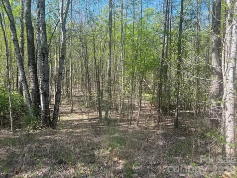 6374 Peniel Road Tryon NC 28782