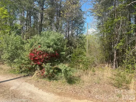 6374 Peniel Road Tryon NC 28782