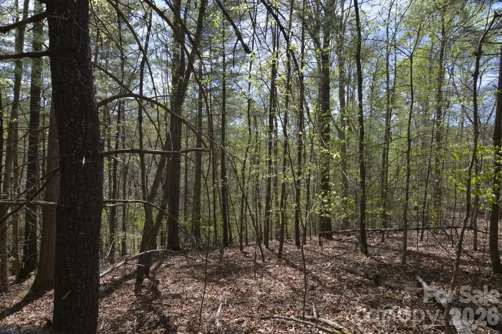 00 Garnet Drive Leicester NC 28748