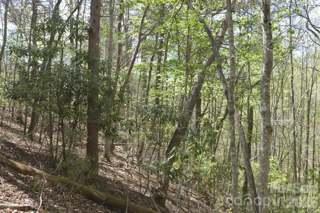 00 Garnet Drive Leicester NC 28748
