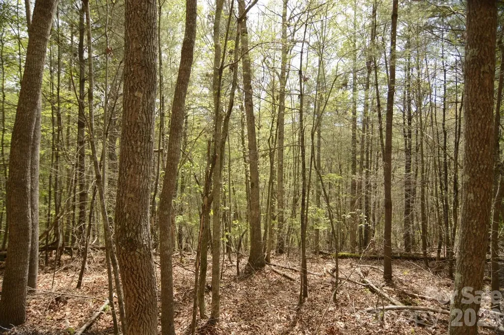 00 Garnet Drive Leicester NC 28748