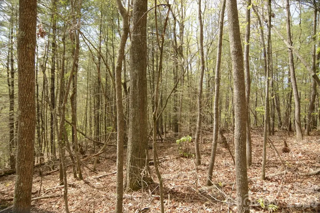 00 Garnet Drive Leicester NC 28748