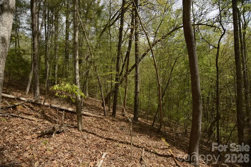 00 Garnet Drive Leicester NC 28748