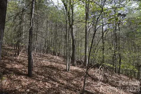 00 Garnet Drive Leicester NC 28748