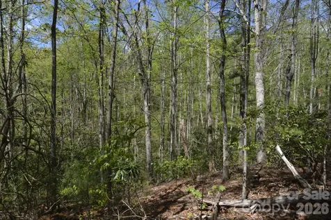00 Garnet Drive Leicester NC 28748