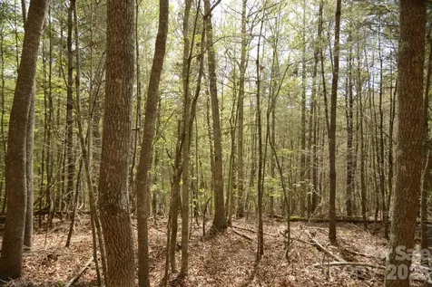 00 Garnet Drive Leicester NC 28748