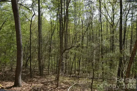 00 Garnet Drive Leicester NC 28748