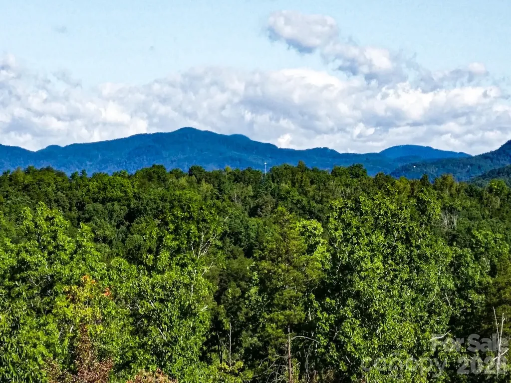 111 Arabesque Way Lake Lure NC 28746