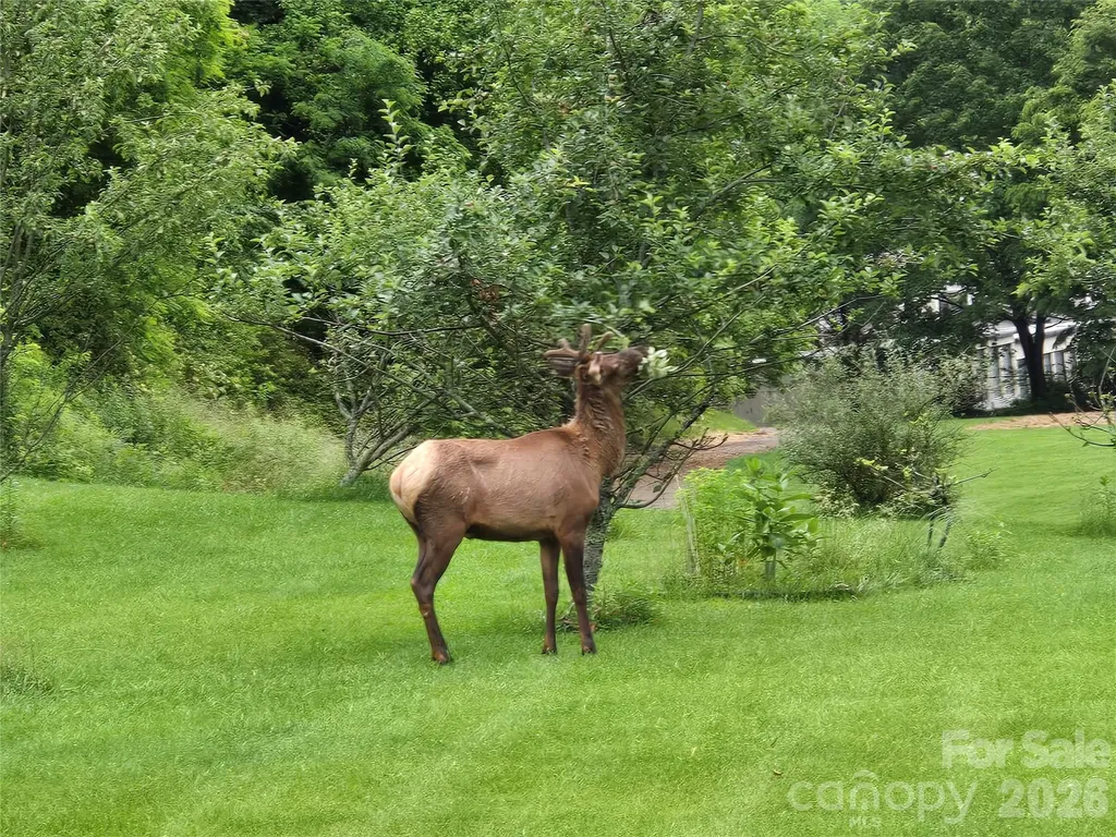 96 Garden Court Maggie Valley NC 28751