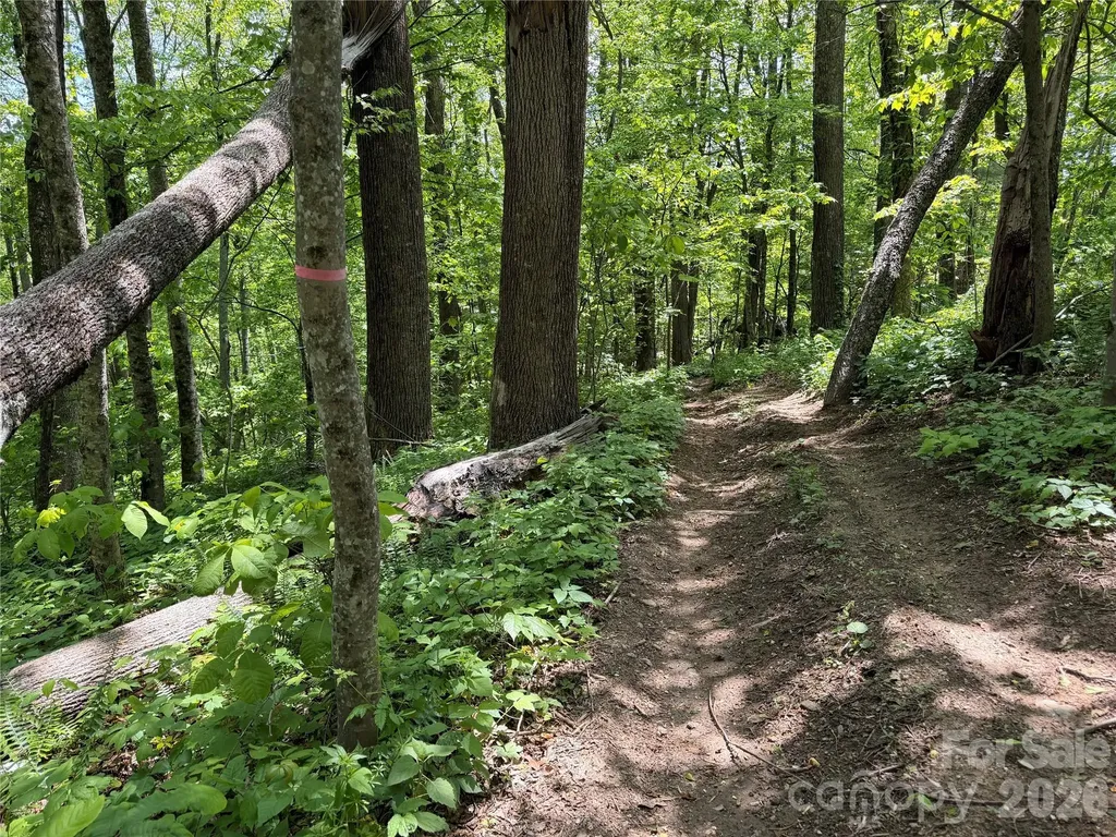 24 Smokey Road Asheville NC 28803