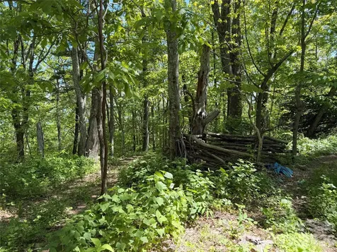 24 Smokey Road Asheville NC 28803
