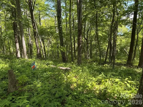 24 Smokey Road Asheville NC 28803