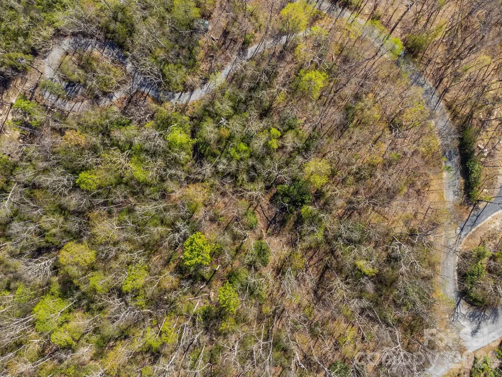 Lot 27 Trails End Road Spruce Pine NC 28714