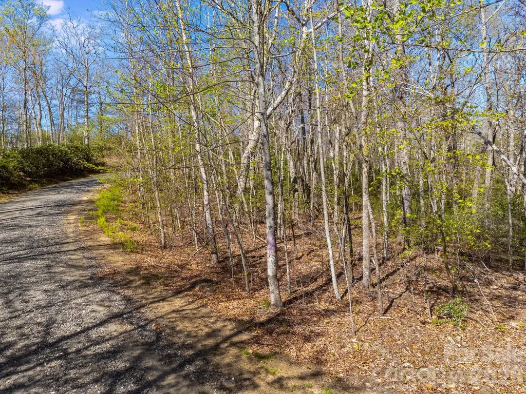 Lot 27 Trails End Road Spruce Pine NC 28714