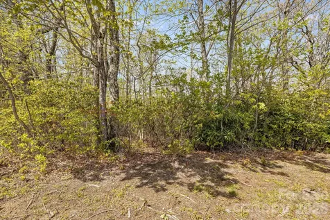 Lot 27 Trails End Road Spruce Pine NC 28714
