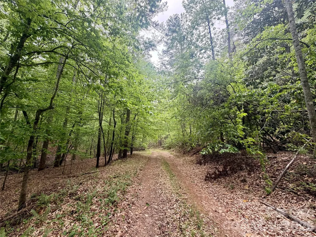 0 Polk County Line Road Rutherfordton NC 28139