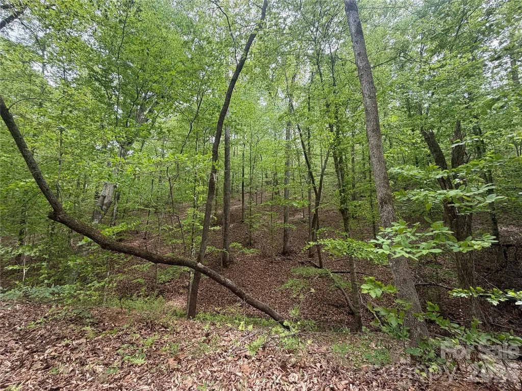0 Polk County Line Road Rutherfordton NC 28139