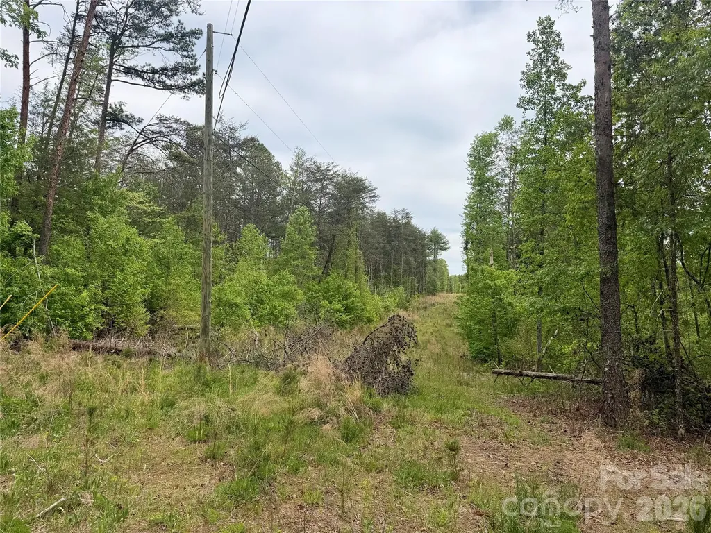 0 Polk County Line Road Rutherfordton NC 28139